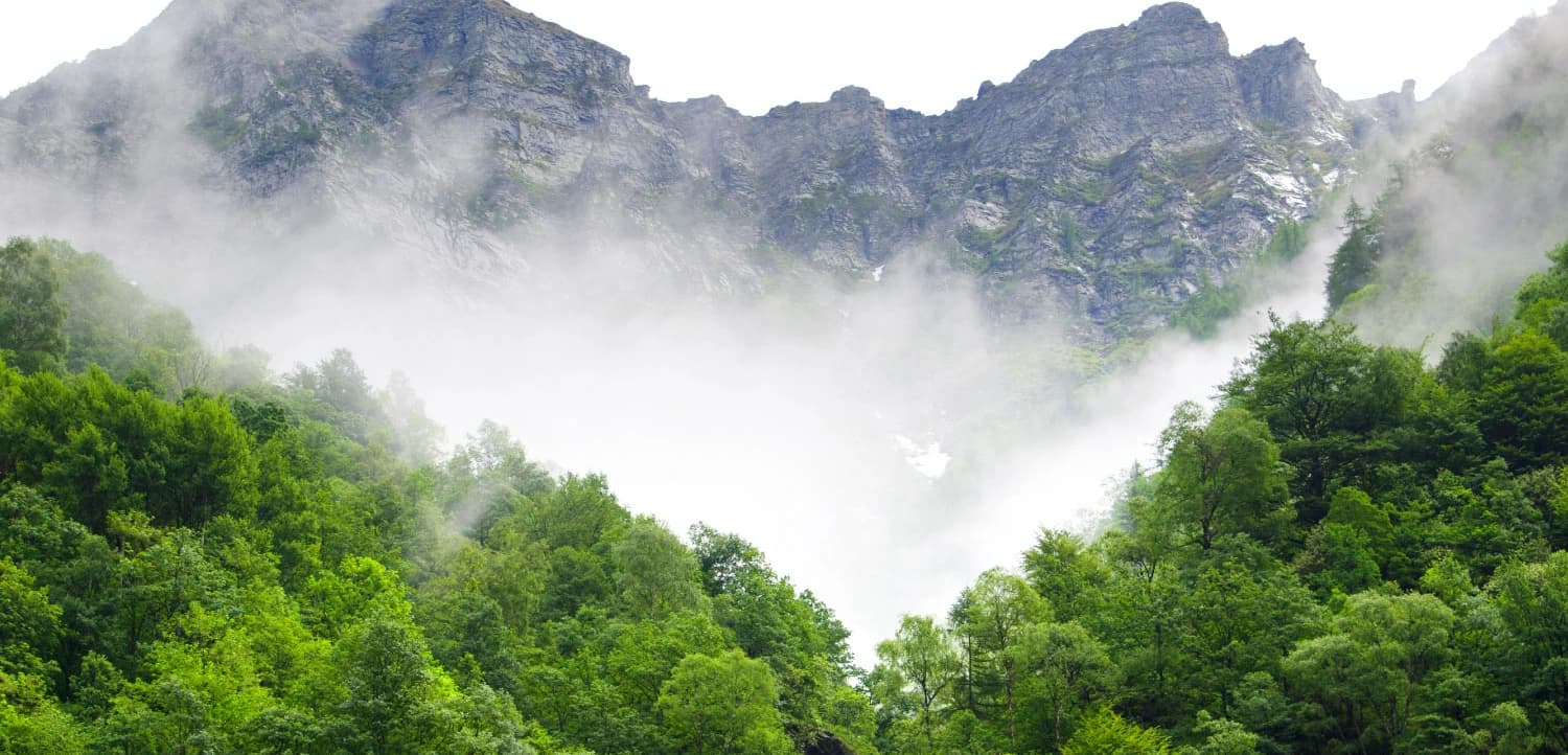 Flora and Fauna Air Monitoring