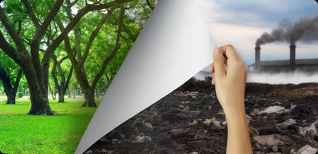 Frequently Asked Question