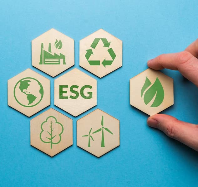 ESG