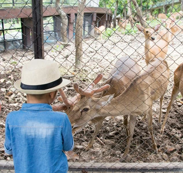 Pollution Exposure in Zoos & Animal Conservation Centers